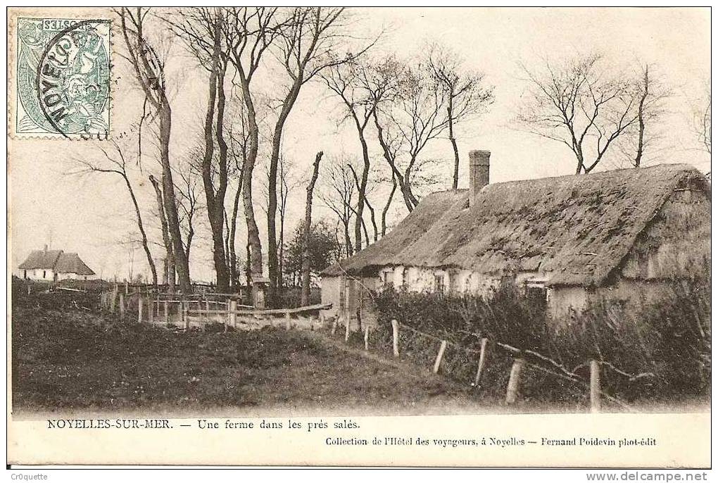 80860 NOYELLES SUR MER - UNE FERME DANS LES PRES SALES En 1906 - Noyelles-sur-Mer