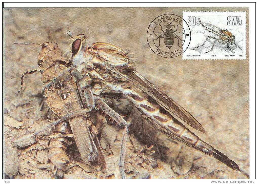 SWA South West Africa 1987 Insekten Insects Insect Maximum Card Fauna Beetle - Gebraucht