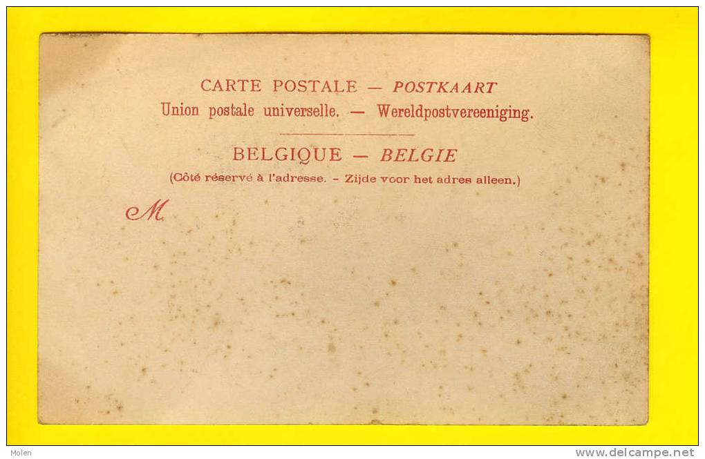 HEYST-SUR-MER Voor 1906 HOTEL DE LA PLAGE & HÔTEL DE BRUGES KNOKKE-HEIST Kust Littoral Belge 1790 - Heist
