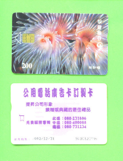 TAIWAN - Chip Phonecard As Scan - Taiwan (Formose)