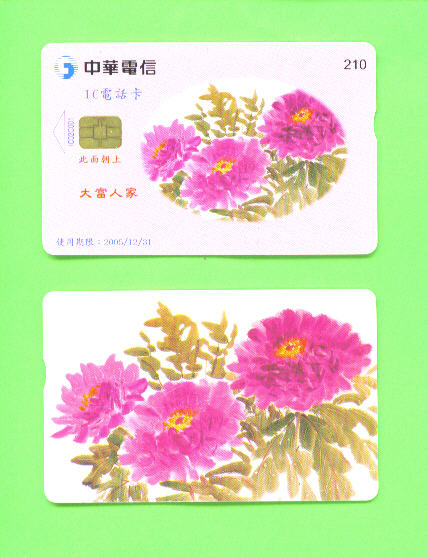 TAIWAN - Chip Phonecard As Scan - Taiwan (Formose)