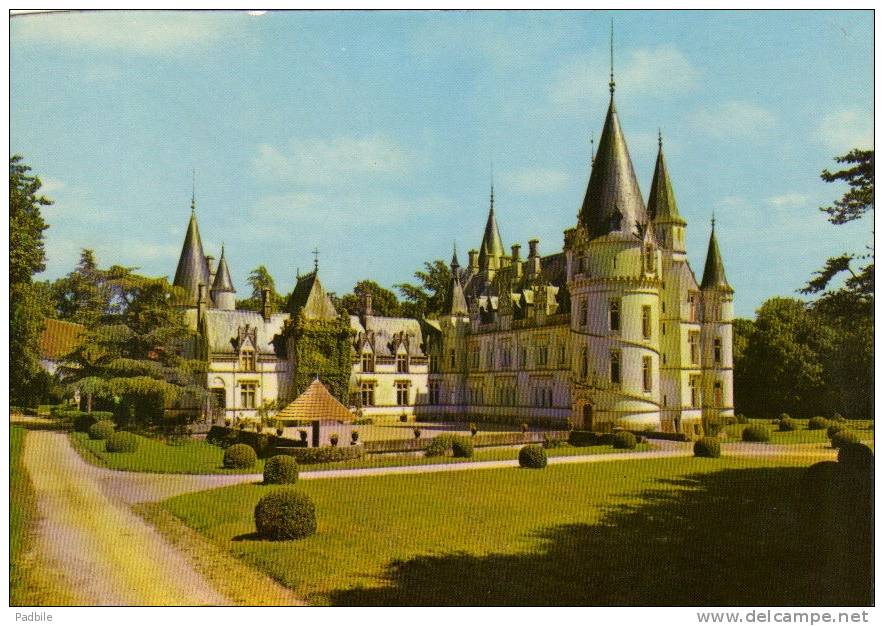 Carte Postale 58 - Pouilly Sur Loire - Le Chateau De Nozet Trés Beau Plan - Pouilly Sur Loire