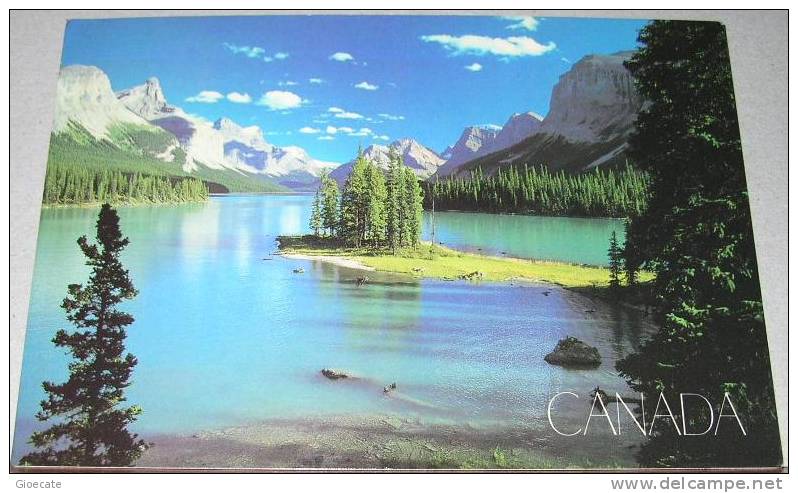 CANADA &ndash; JASPER NATIONAL PARK &ndash; REF. C-24 - VIAGGIATA 1993 - (237) - Jasper