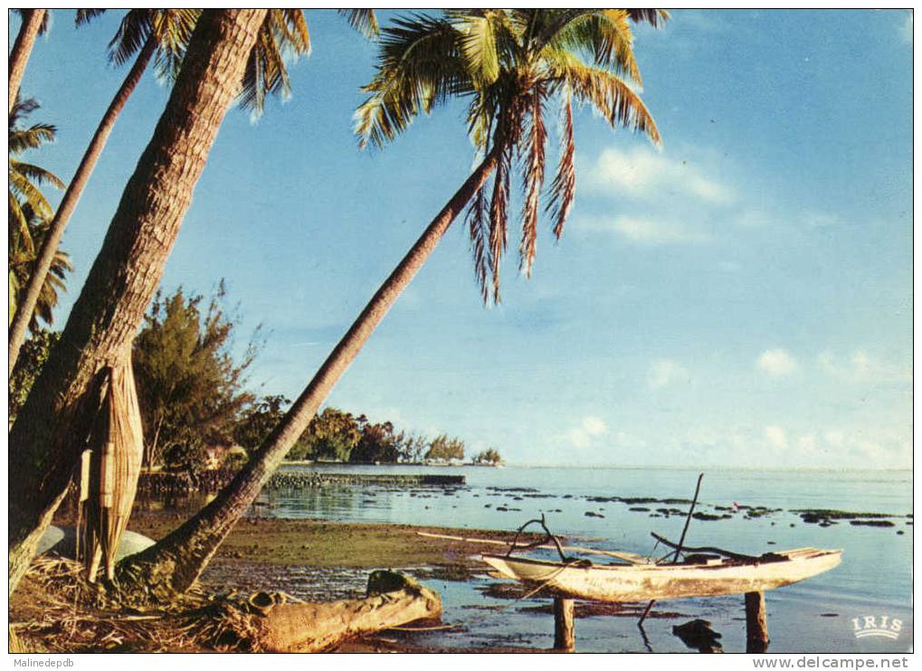 CPA  - TAHITI - UR LA COTE OUEST LE LAGON A PUNAAUIA - Tahiti