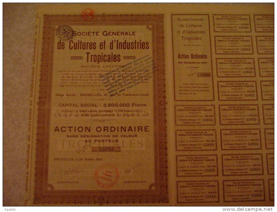 Société De Cultures Et D'industries Tropicales  Bruxelles 1924  (amérique Du Sud Et Indes) - Agriculture