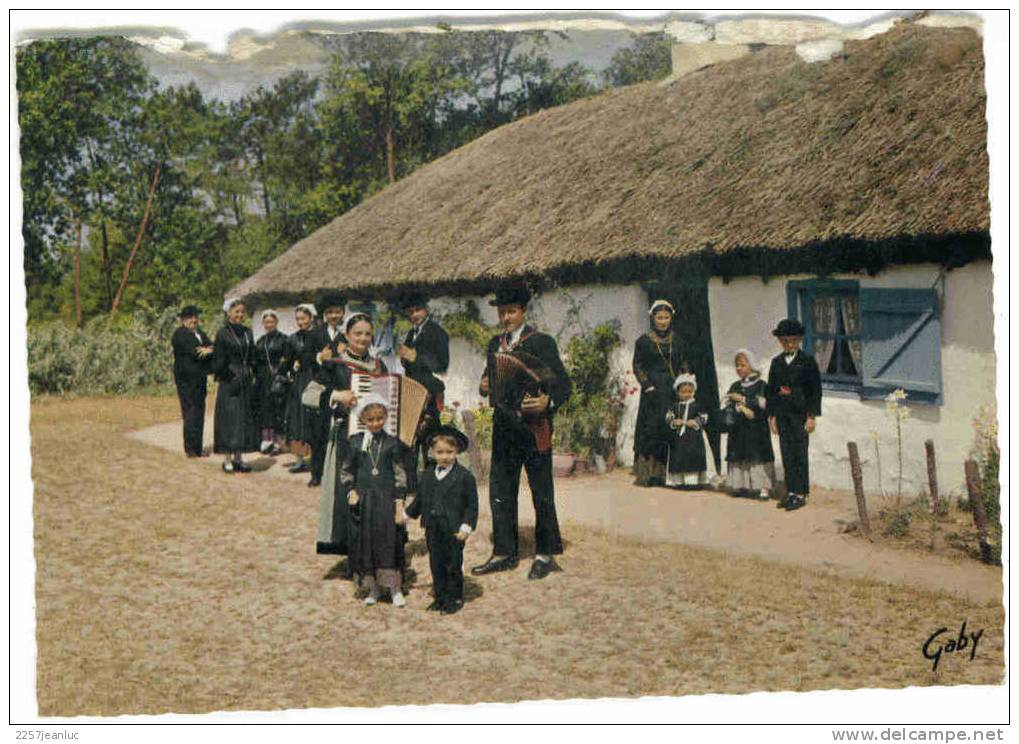 Cpsm  Couleur Au Pays Maraichin  Costumes Et Musique - Music