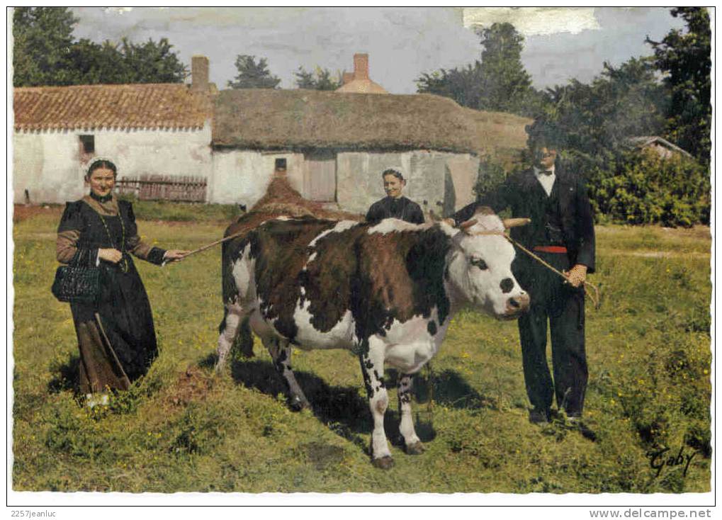 Cpsm  Couleur Au Pays Maraichin  Costumes  Ferme Vache - Bauernhöfe