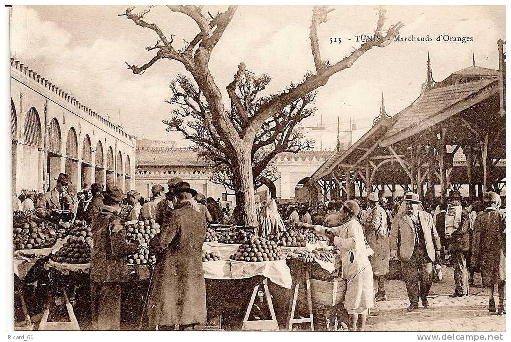 Cpa  De Tunis, Le Marché Aux Oranges, Agrumes - Mercati