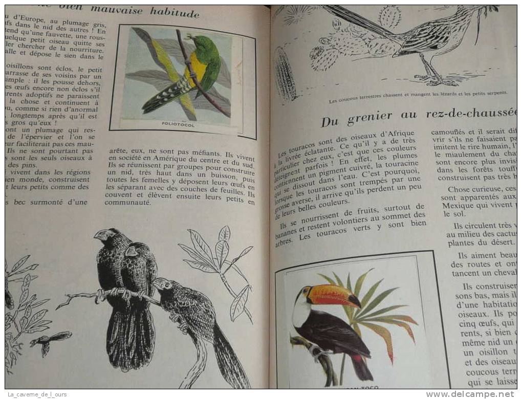 Rare Albums De Vignettes Gommées Complet, L'encyclopédie Par Le Timbre N°39, Oiseaux Des 5 Continents - Other & Unclassified