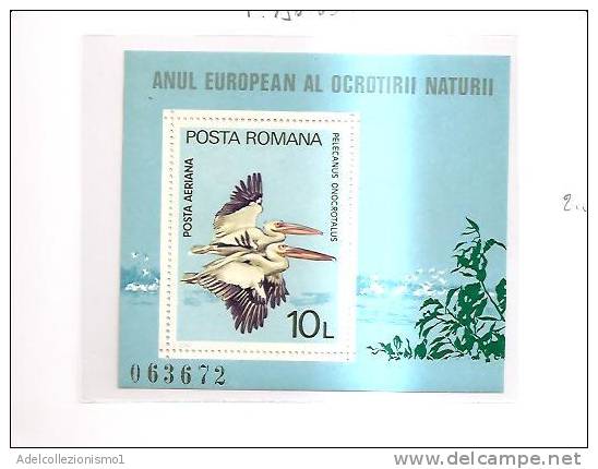 42223)foglio Con Un Valore Serie 1980 Romania , Campagna Europea Per La Protezione Della Natura Ed Ambiente - Poststempel (Marcophilie)