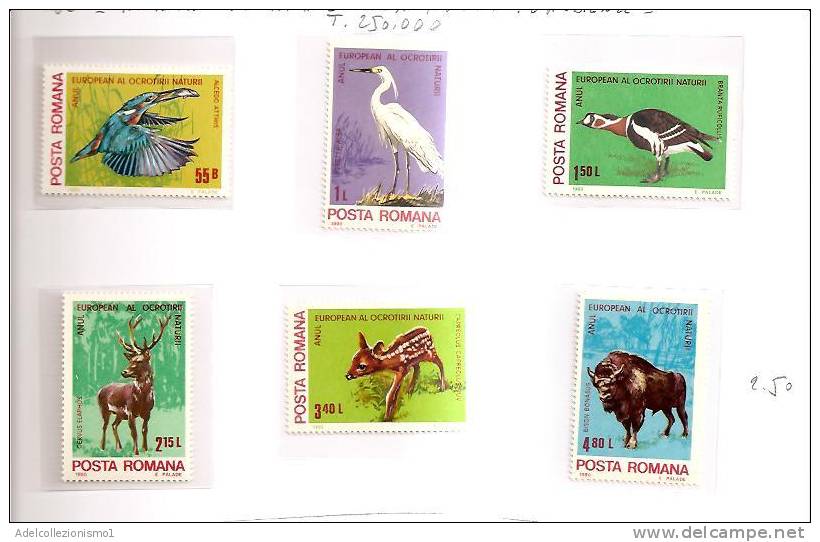 42222)n°6 Valori Serie 1980 Romania , Campagna Europea Per La Protezione Della Natura Ed Ambiente - Poststempel (Marcophilie)