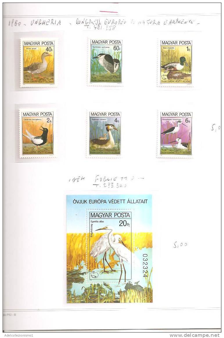 42259)n°6 Valori Serie 1980 Bulgaria Congresso Europeo Sulla Natura E Ambiente + Foglietto - Hojas Completas