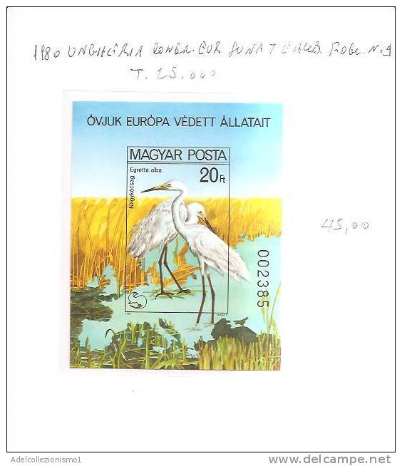 42258)foglio Con Un Valore Serie 1980 Ungheria Congresso Europeo Sulla Natura E Ambiente - Hojas Completas