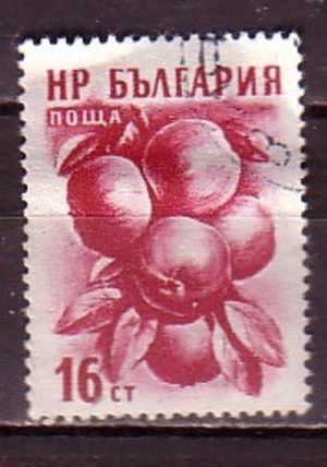 L0739 - BULGARIE BULGARIA Yv N°855 - Used Stamps