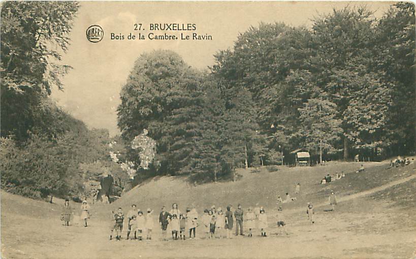 BRUXELLES - Bois De La Cambre - Le Ravin (Albert. 27.) - Bossen, Parken, Tuinen