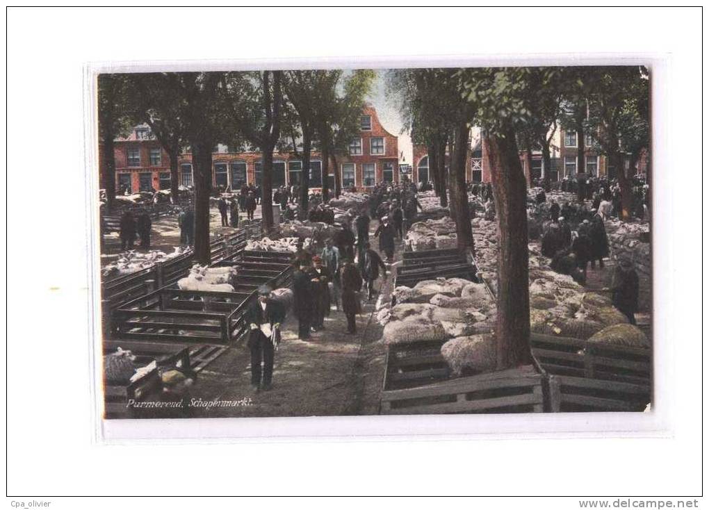 PAYS BAS Purmerend, Schapenmarkt, Marché Aux Moutons, Colorisée, Ed Eikenboom, 191? - Purmerend