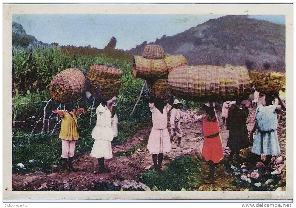 HAITI  PITTORESQUE - MARCHANDES DE PANIERS - BASKETS SELLERS - Haïti