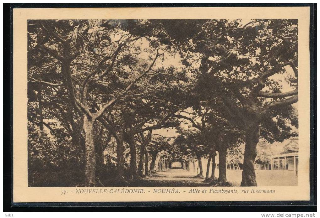 Nouvelle - Caledonie ... Noumea .. Allee De Flamboyants , Rue Inkermann - Nouvelle Calédonie