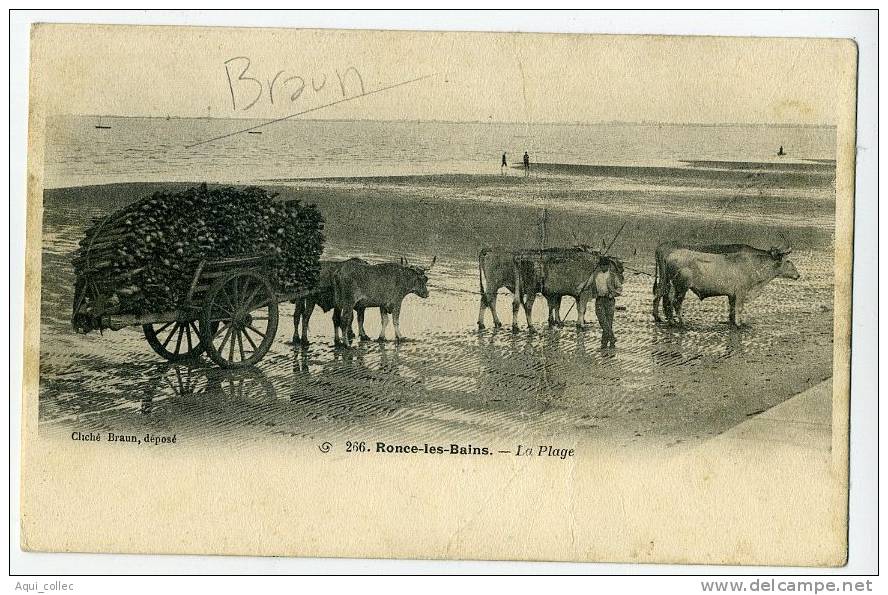 RONCE LES BAINS 17 CHARENTE - MARITIME LA PLAGE PAR BRAUN - La Tremblade