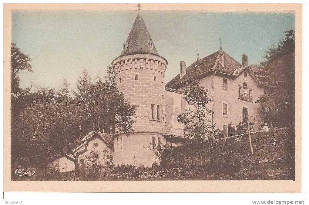 RUFFIEUX - Château De Collonges - Ruffieux