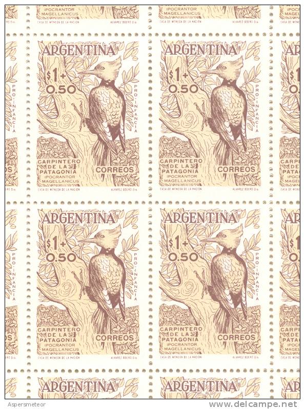 AÑO 1960 ARGENTINA - PAJARO CARPINTERO DE LA PATAGONIA - POCRANTOR MAGELLANICUS MNH TBE - Picchio & Uccelli Scalatori