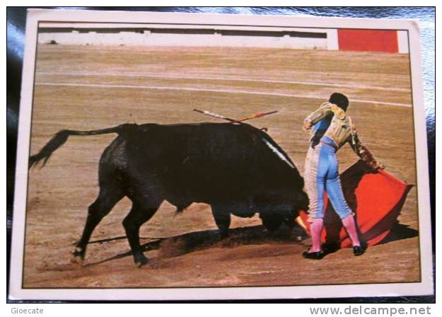 TOROS – DIEGO PUERTA – “NATURAL” CON LA DERECHA – VIAGGIATA 1993 – (670) - Corrida