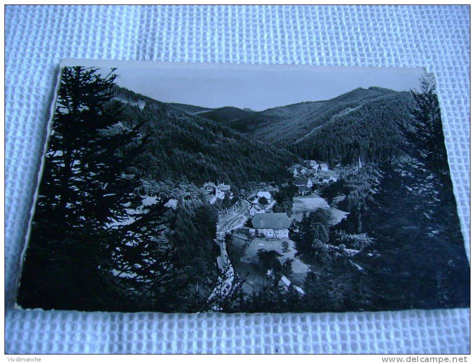 ALLEMAGNE - NUSSBACH BEI TRIBERG - CARTE PHOTO CPA ECRITE EN 1964TRES BON ETAT - Triberg