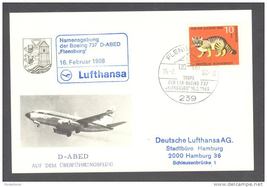 Germany Lufthansa Namengebung Der Boing 737 D-ABED 'Flensburg' 1968 Card Wildkatze Für Die Jugend - Briefe U. Dokumente