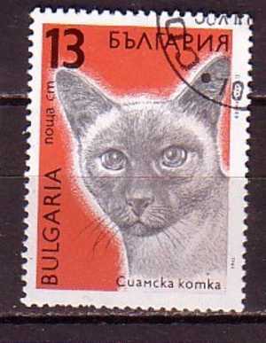 L1007 - BULGARIE BULGARIA Yv N°3291 - Oblitérés