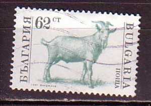 L1014 - BULGARIE BULGARIA Yv N°3359 - Oblitérés