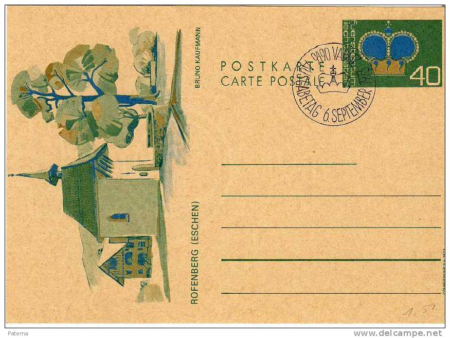 Entero Postalm VADUZ 1973,( Liechtenstein),  Entier Postal, - Enteros Postales