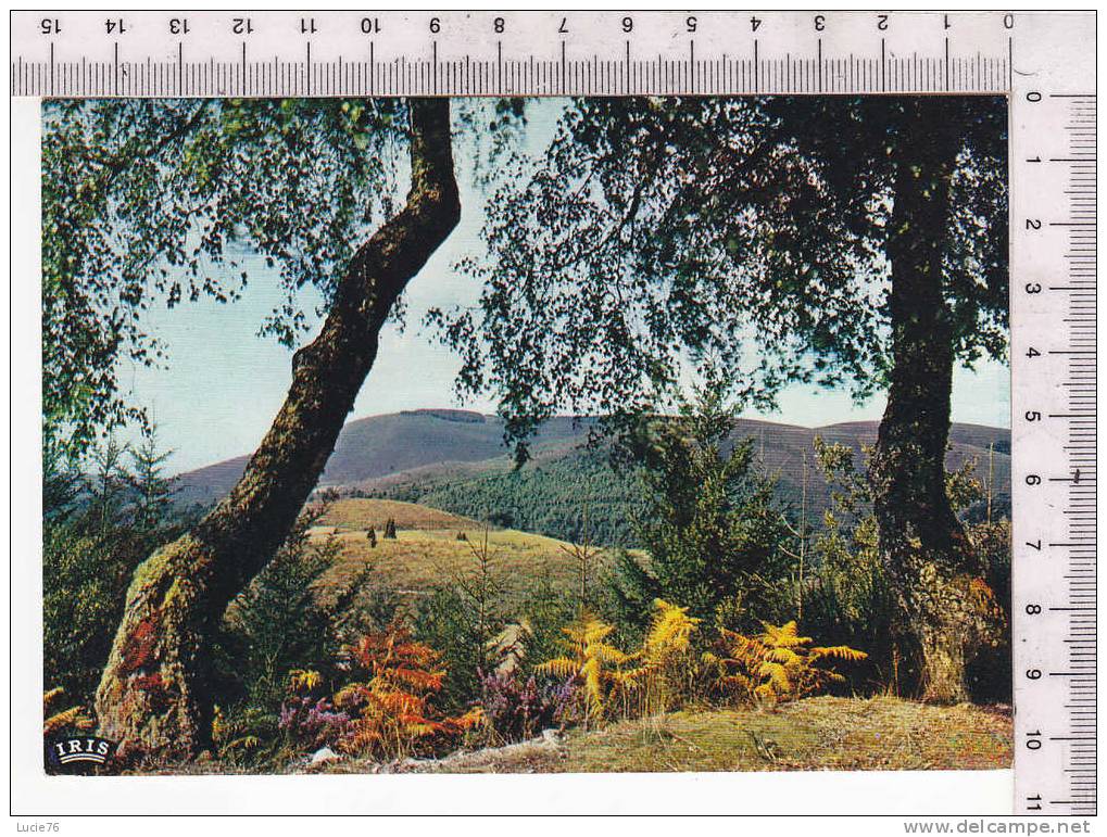 Entre Les Hautes Vallées De La Vézère Et De La Corrèze - Le Massif Des Monédières - N° 190019 - Limousin
