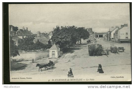 44 SAINT ETIENNE DE MONTLUC / Le Pâtis / - Saint Etienne De Montluc