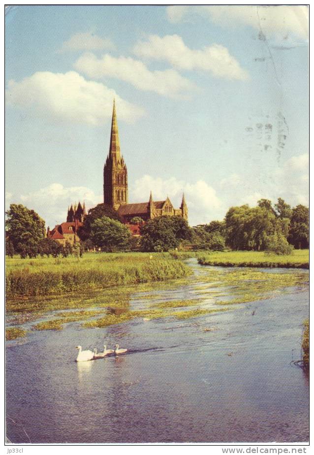 Salisbury Cathedral From The Rivier Avon, Wiltshire (1978) - Salisbury