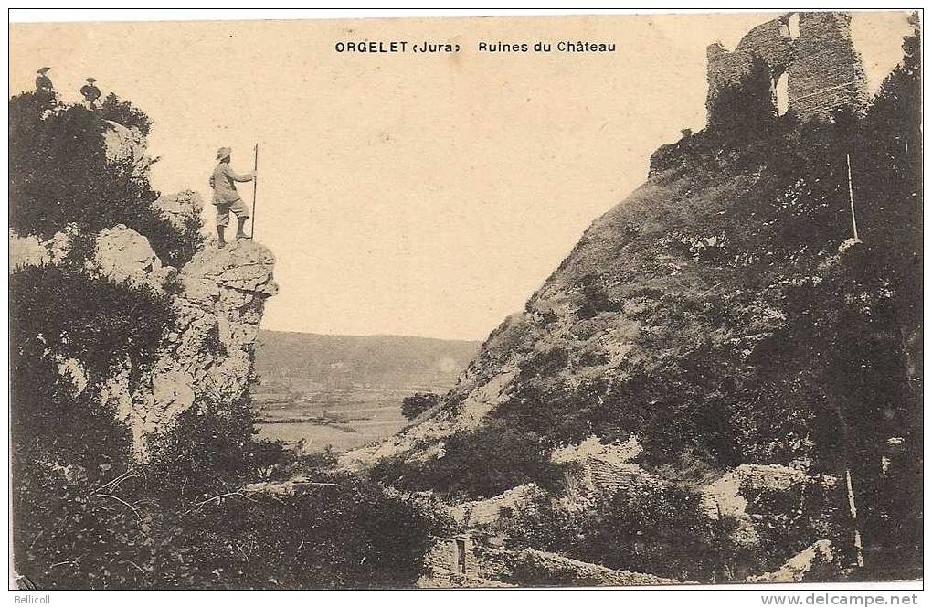 ORGELET  (Jura)  Ruines Du Château - Orgelet