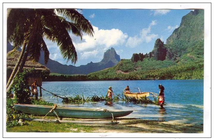 Bay Of Paopao, Fishing, TAHITI, 40-60s - Tahiti