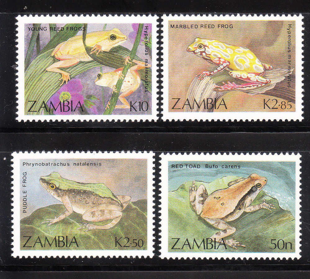 Zambia 1989 Frogs And Toads MNH - Kikkers