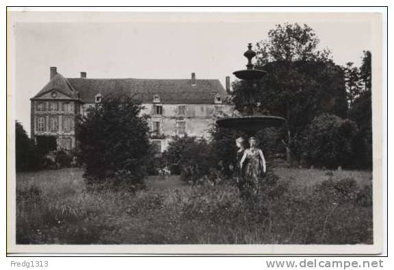 Saint Sauveur En Puisaye - Chateau Et Tour Sarrazine - Saint Sauveur En Puisaye