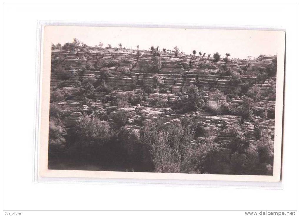 07 RUOMS (environs) Défilé, Bords De L'Ardèche, Ed Cigogne 40058, CPSM 9x14, 1952 - Ruoms