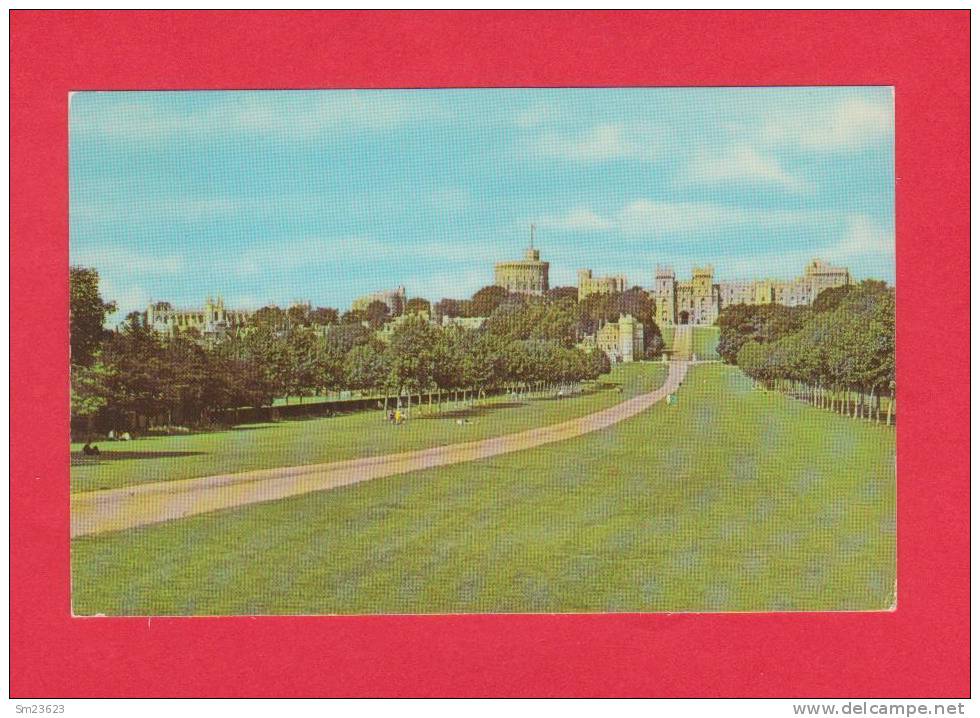London (GB120)  The Long Walk - Windsor - - Windsor Castle