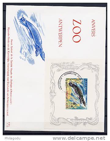 Belgique 1965, FDC  Rodan 171 Zoo D’Anvers Avec B F 39, Tortue - Tortues