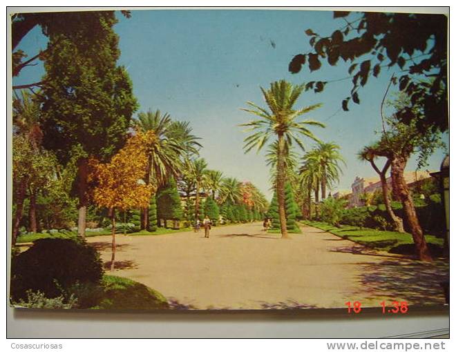 3972 PARQUE GENOVES CADIZ ANDALUCIA  POSTAL AÑOS 1960 MIRA OTRAS DE ESTA CIUDAD - Cádiz