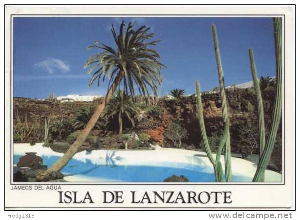 Lanzarote - Jameos Del Agua - Lanzarote