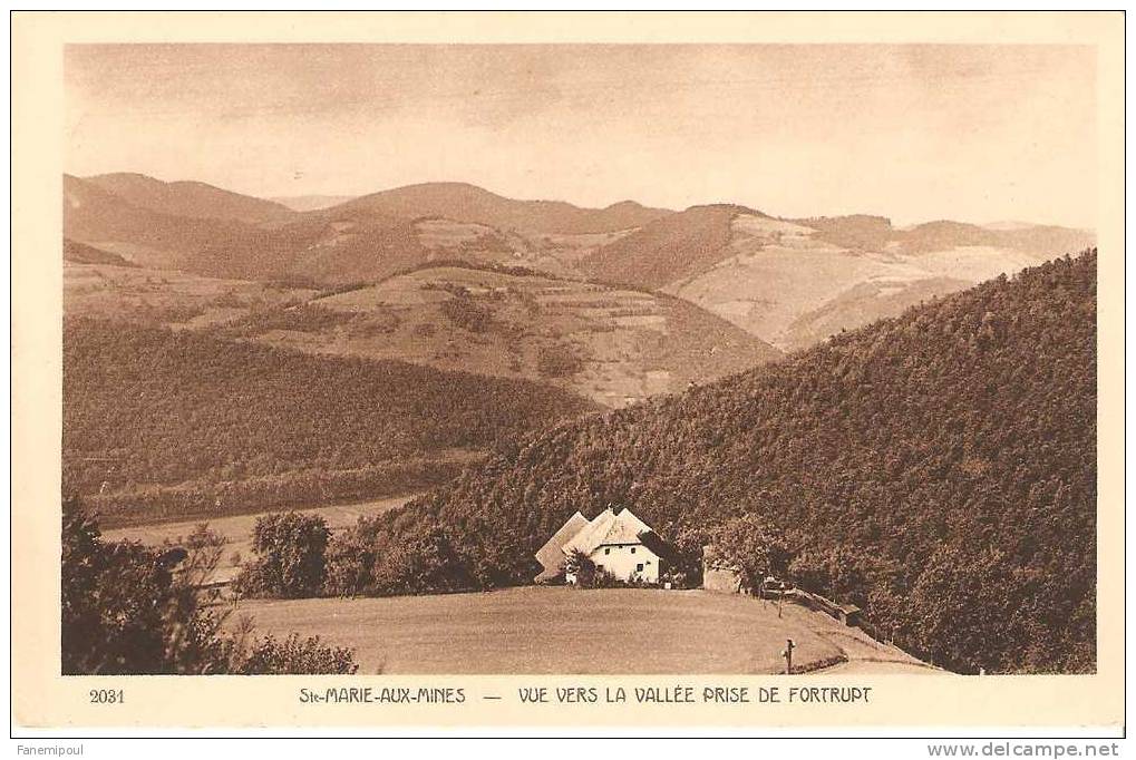 SAINTE-MARIE-AUX-MINES.     Vue Vers La Vallée Prise De Fortrupt - Sainte-Marie-aux-Mines