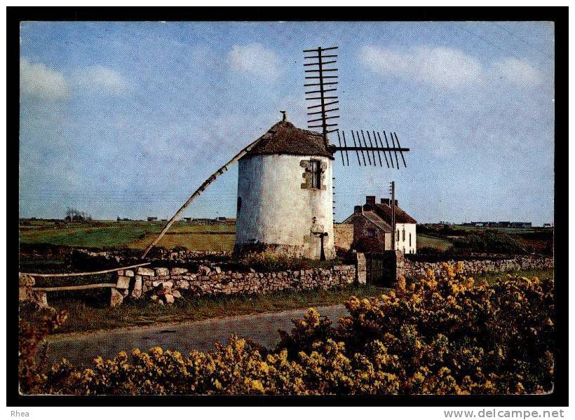 56 551 Le Vieux Moulin De Narbon, à Erdeven Moulin A Vent D56D K56013K C56054C RH002745 - Erdeven