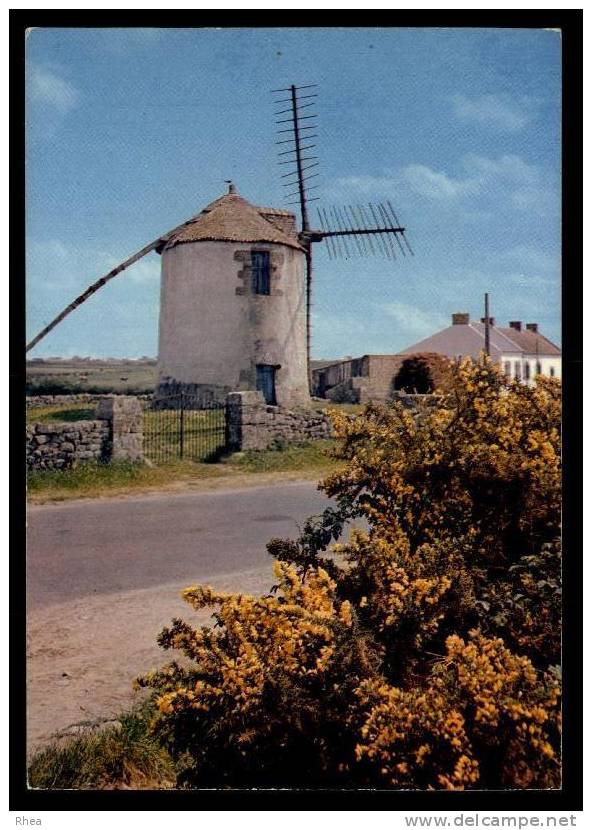 56 Erdeven Le Moulin Vent Du Narbon à ERDEVEN (Morbihan) Moulin A Vent Narbon D56D K56013K C56054C RH002749 - Erdeven