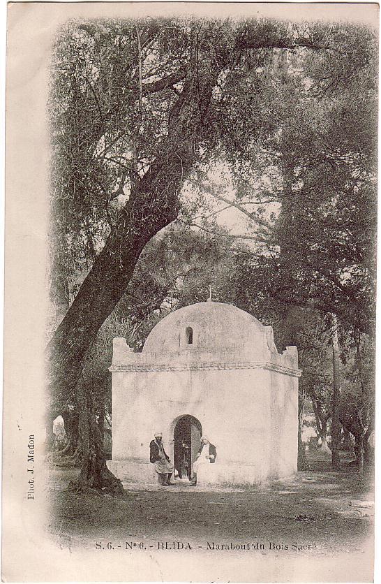 BLIDA / Marabout Du Bois Sacré / Précurseur - Blida