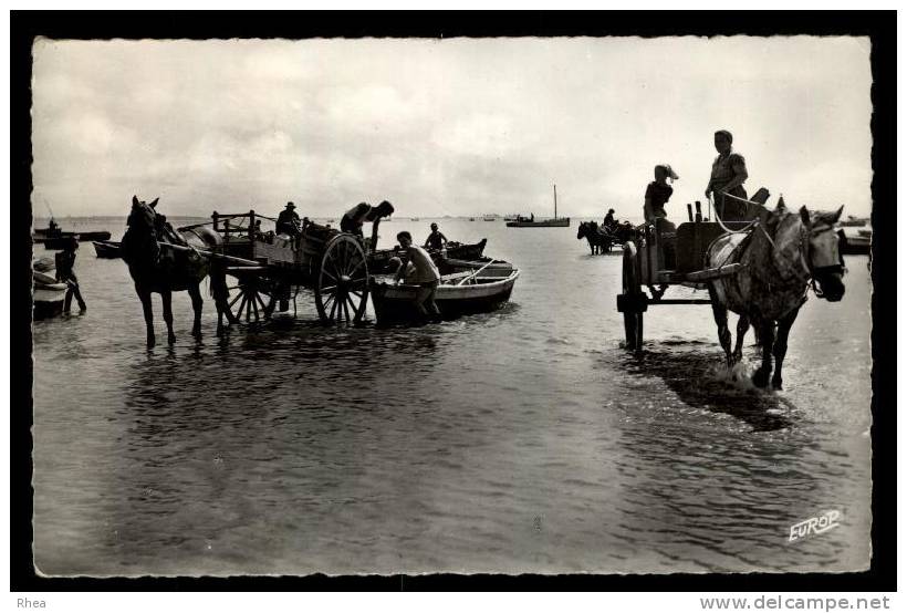 17 Châtelaillon-Plage 799 CHATELAILLON (Ch-Mme) Retour Des Boucholeurs Peche Moule Att D17D K17028K C17094C RH006121 - Autres & Non Classés