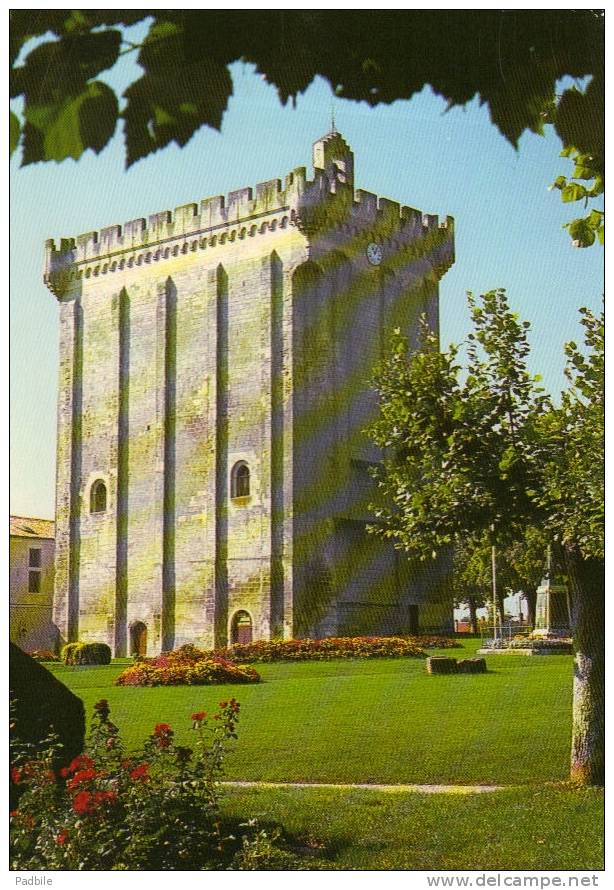 Carte Postale 17 - POns  - Le Donjon Et Le Jardin Public Trés Beau Plan - Pons