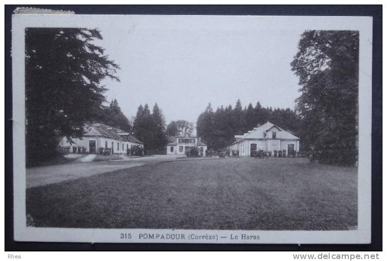 19 Arnac-Pompadour 315 POMPADOUR (Corrèze) - Le Haras Animal Cheval Haras Sépia D19D K19121K C19011C RH007219 - Arnac Pompadour